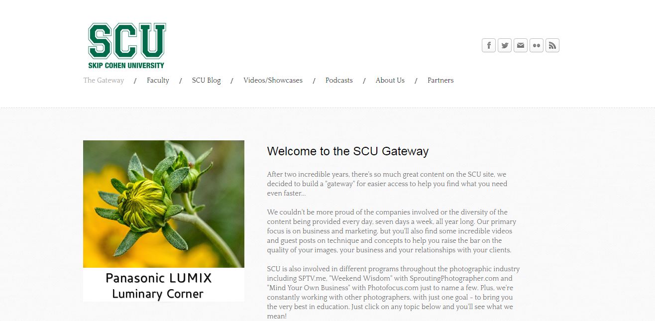 Skip Cohen University