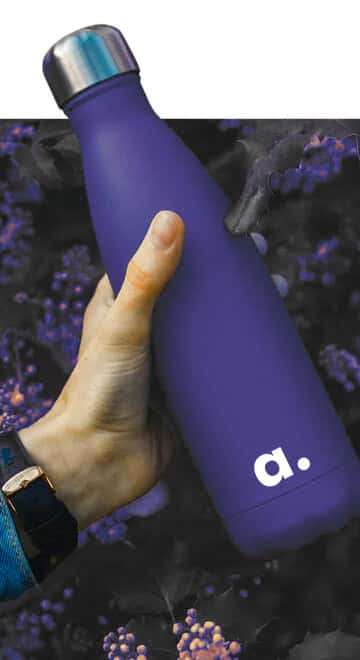 Stainless Steel Water Bottle