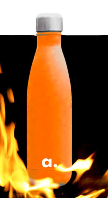 Stainless Steel Water Bottle